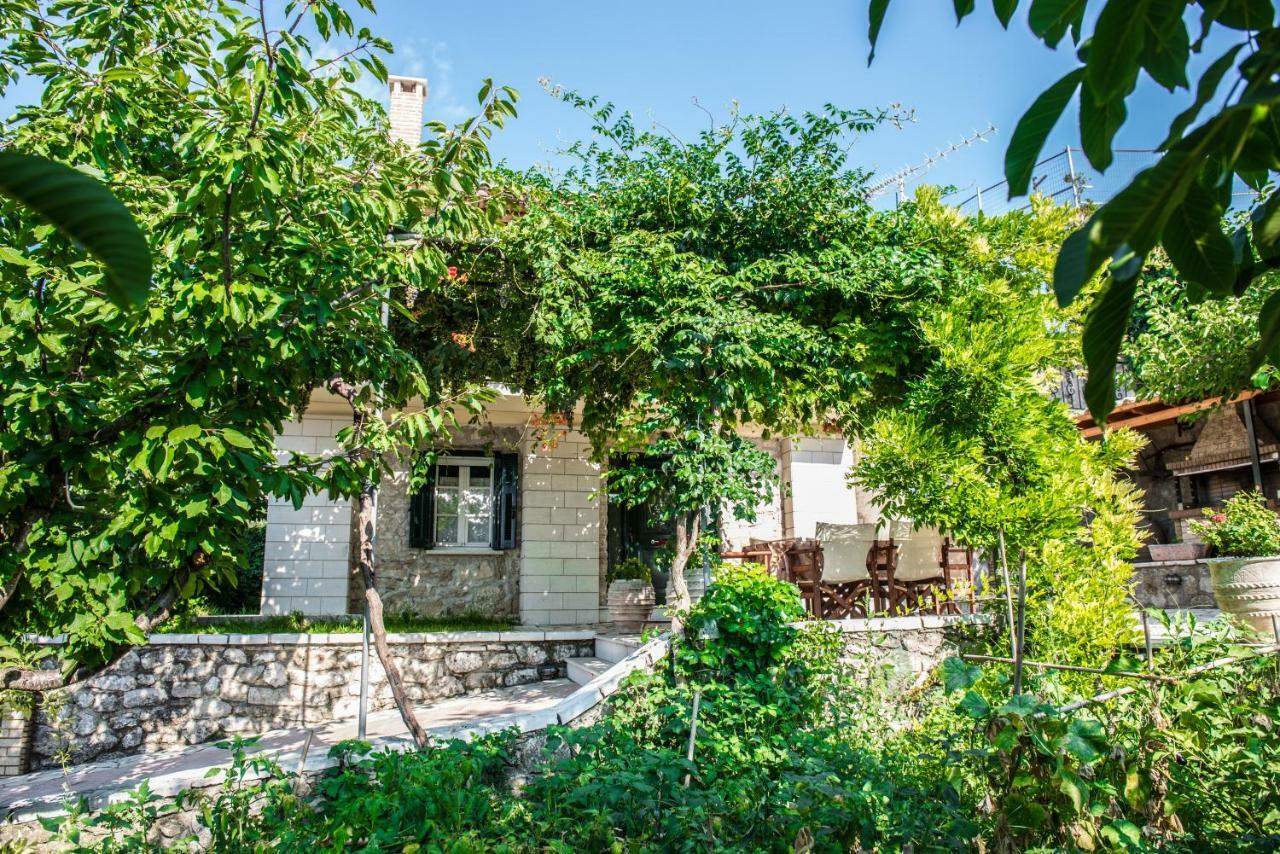 Villa Ilias Pinakokhorion Bagian luar foto
