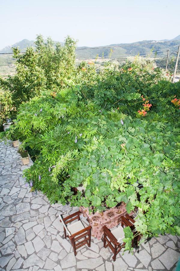 Villa Ilias Pinakokhorion Bagian luar foto
